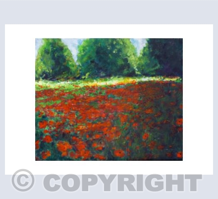 Field of Poppies
