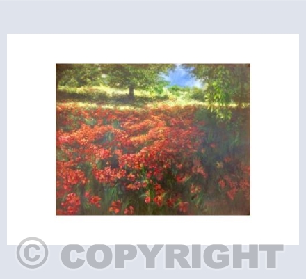 Poppy Fields, Ibiza