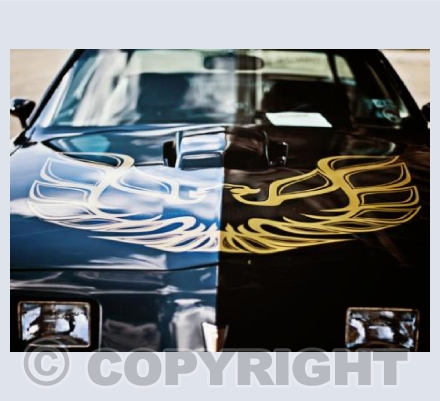 Trans Am
