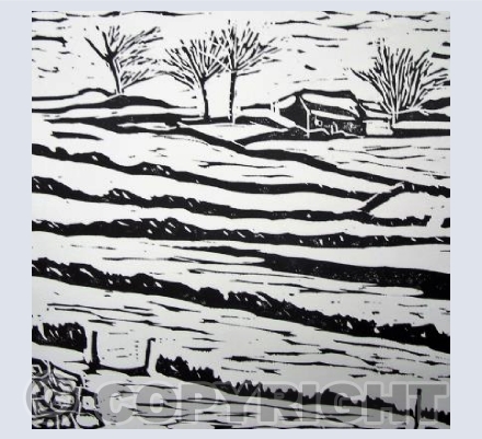 Winter Snow