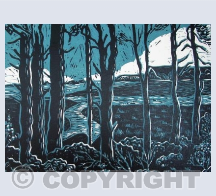 Budleigh through the Pines