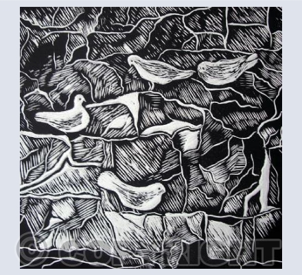 White Doves in the Ruins