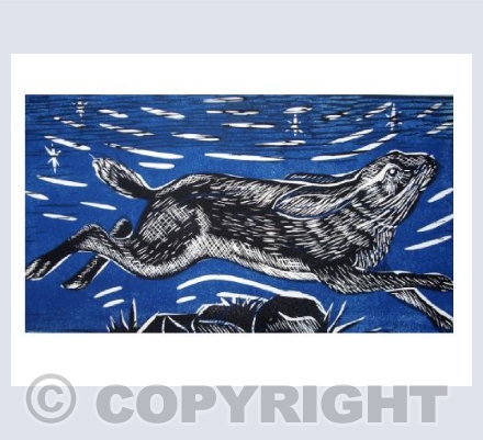 Leaping Hare