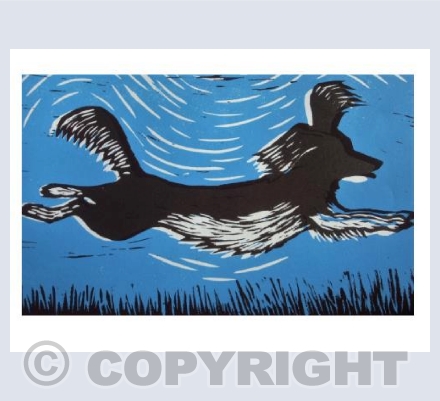 Leaping Spaniel