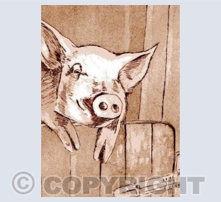 The Happy Pig