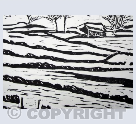 Winter Snow