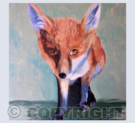 Fox Cub