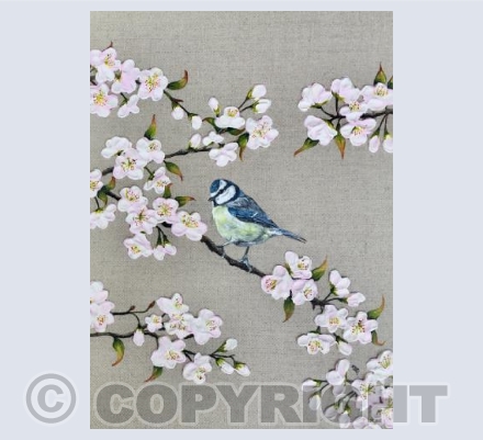 Blue Tit and Blossom Card