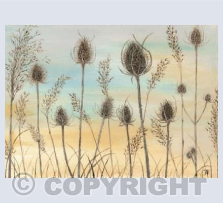 Winter Teasels by Natasha Pitts