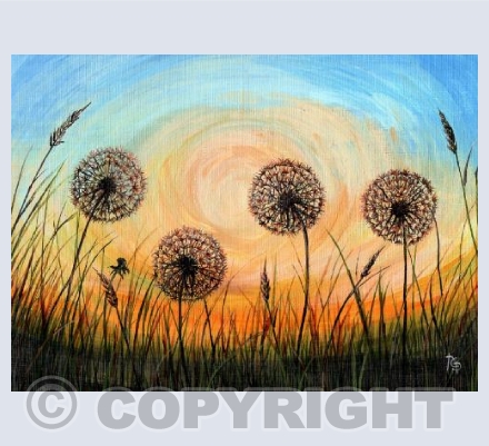 Dandelion Sunset