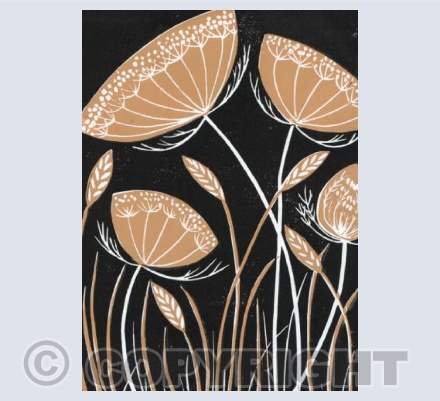 Wild Carrot Card