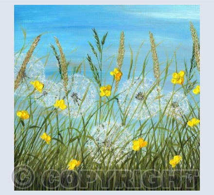 Buttercup Meadow by Natasha Pitts