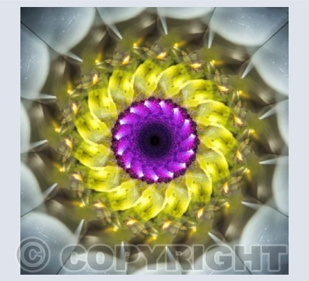 light mandala