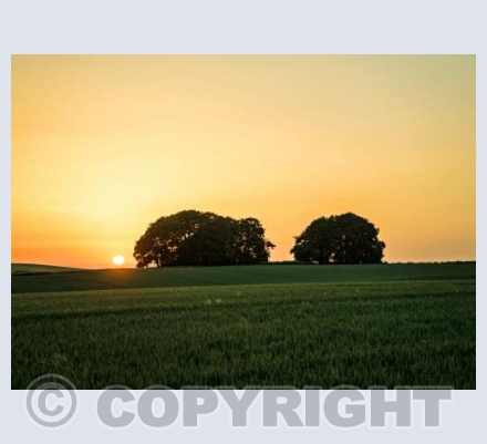 The Ridgeway