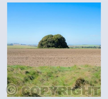 Ridgeway Mounds