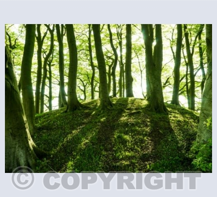 Bronze age Barrow shadows