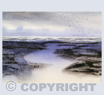Low Tide