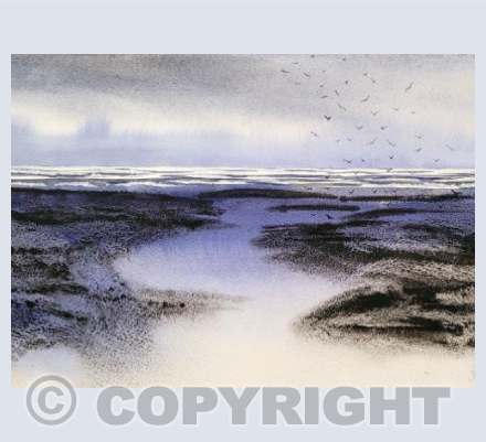 Low Tide