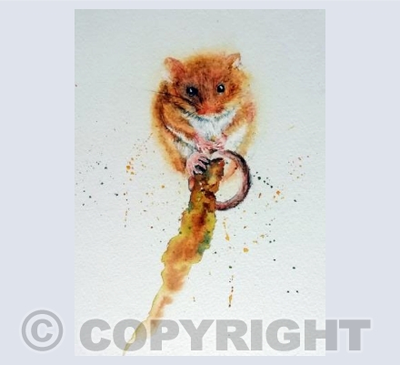 Field Mouse