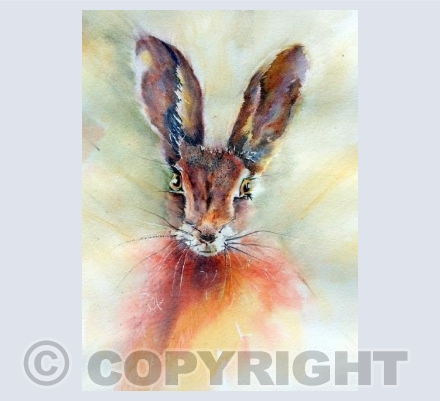 Hare-y Moment