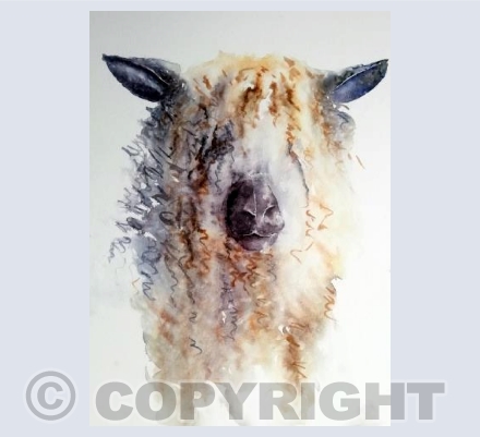 Pulling The Wool Over My Eyes