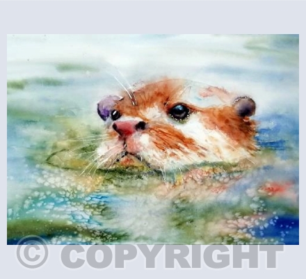Taking A Dip