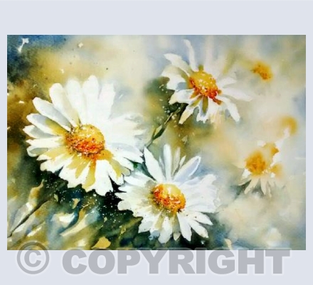 Hazy Daisies
