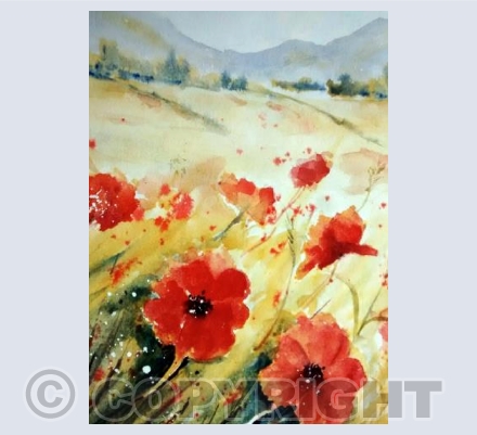 Poppies