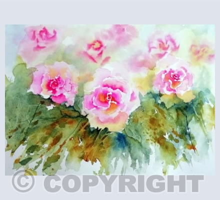 Last of the Summer Roses