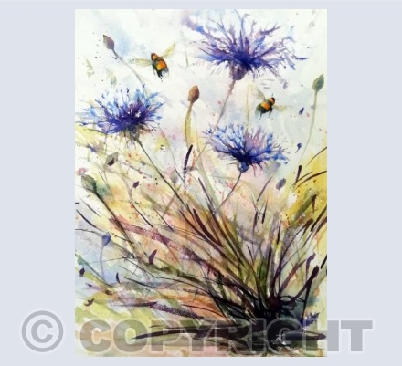Cornflowers and Bees