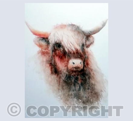 Hercules The Highlander