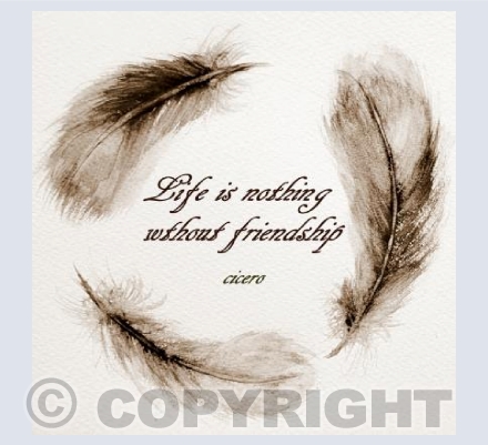 Friends and feather