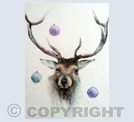 Stag Night