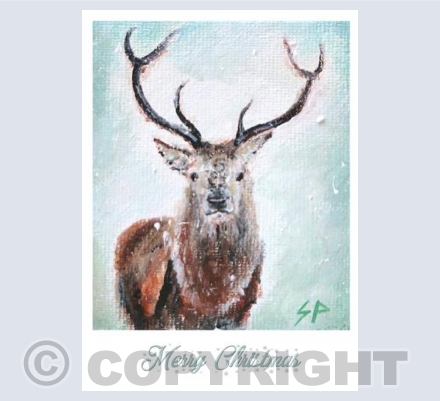 Stag