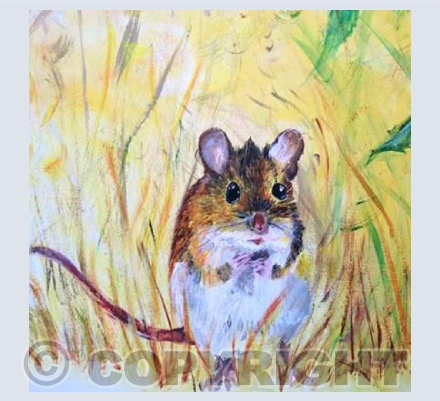 Field Mouse
