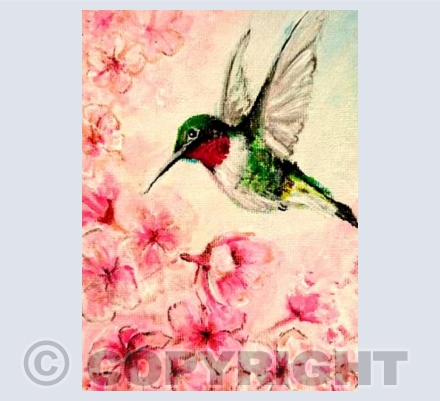 Humming Bird In Blossom