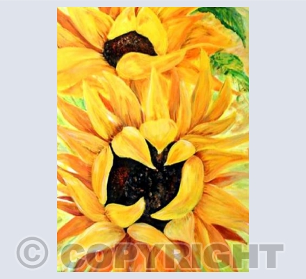 Sunflowers