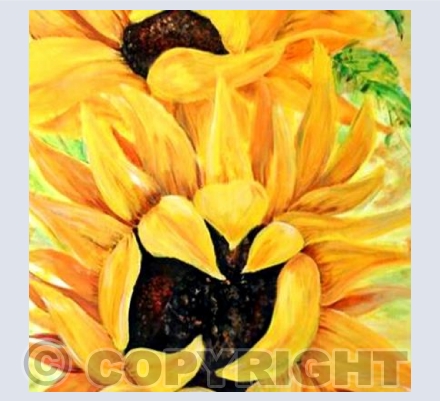 Sunflowers
