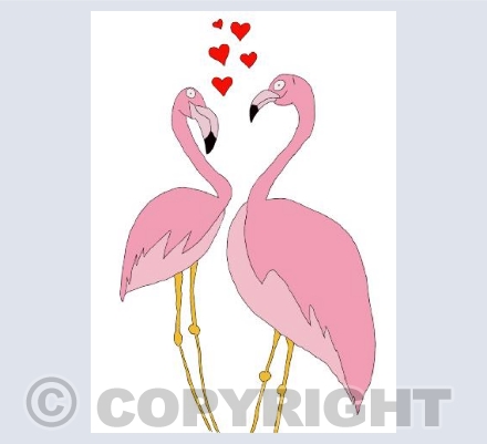 flamingos in love