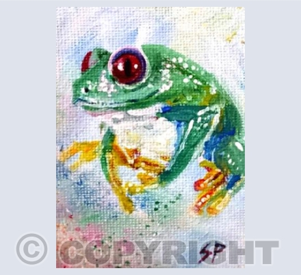 Tree Frog