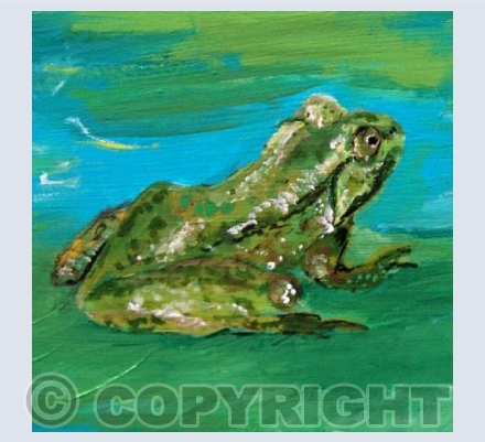 Frog