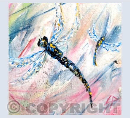 Dragonflies