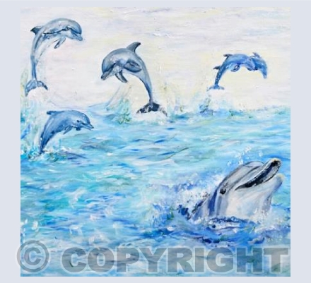 Dolphin s Playing