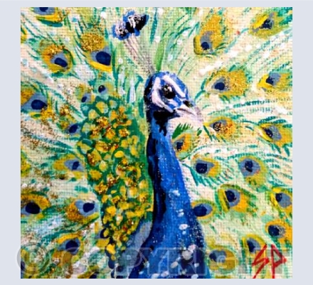 Peacock