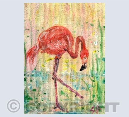 Flamingo