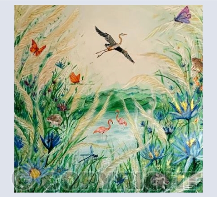 Nature Reserve