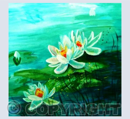 Lillies