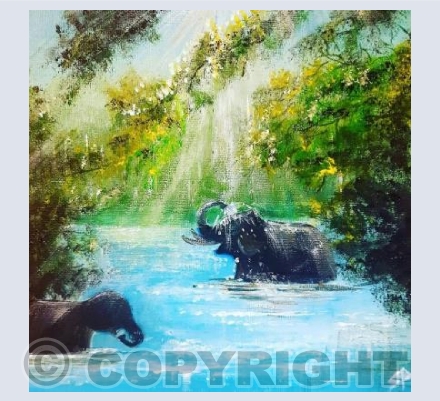 Elephants