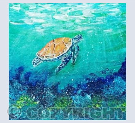 Sea Turtle