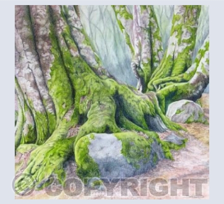 Bark and Moss